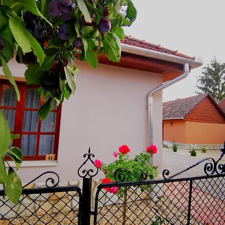 Szilvaliget Vendeghaz Apartment Tolcsva Exterior photo